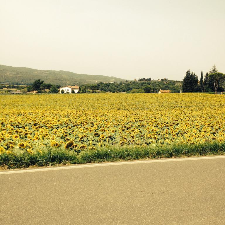 Tre Girasoli Monte San Savino Eksteriør bilde